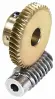 Worms & Worm Gears | Wormwheels
